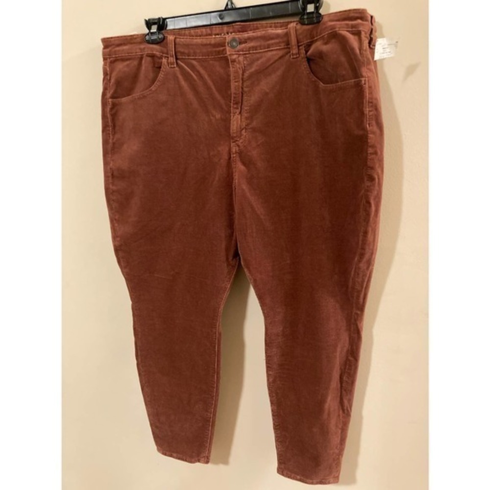 NEW American Eagle Corduroy pants size‎ 24 Short brown